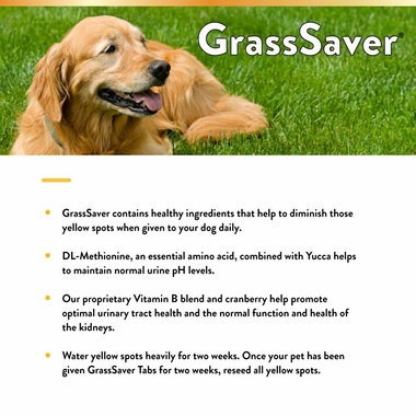 GRASSSAVER-PLUS-CRANBERRY-500-CHEW-TABS