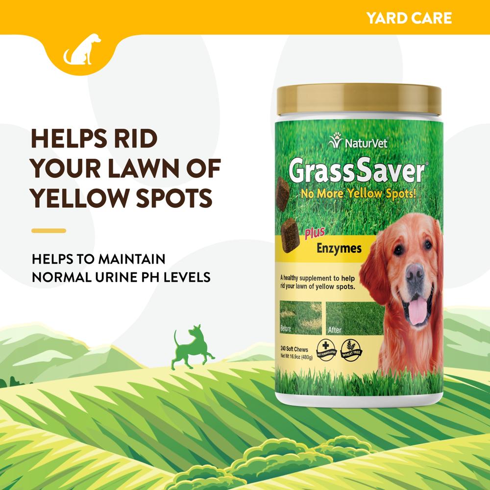 GRASSSAVER-PLUS-ENZYMES-240-SOFT-CHEWS