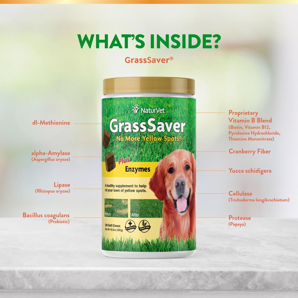 GRASSSAVER-PLUS-ENZYMES-240-SOFT-CHEWS