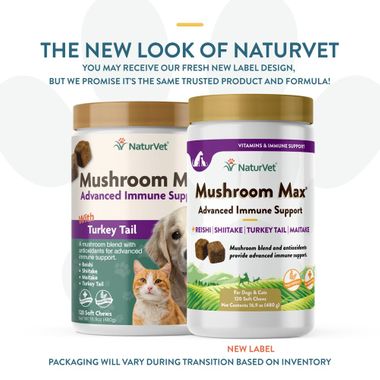 MUSHROOM-MAX-IMMUNE-SUPPORT-120-SOFT-CHEWS