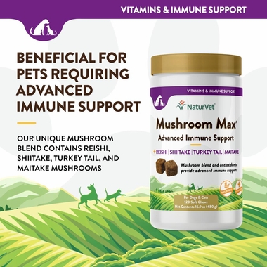 MUSHROOM-MAX-IMMUNE-SUPPORT-120-SOFT-CHEWS