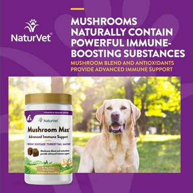 MUSHROOM-MAX-IMMUNE-SUPPORT-120-SOFT-CHEWS