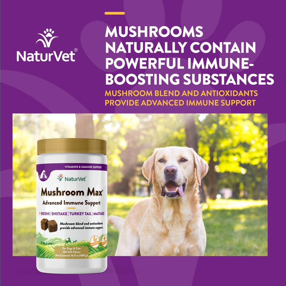 MUSHROOM-MAX-IMMUNE-SUPPORT-120-SOFT-CHEWS