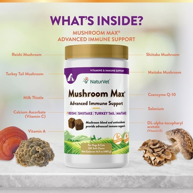 MUSHROOM-MAX-IMMUNE-SUPPORT-120-SOFT-CHEWS