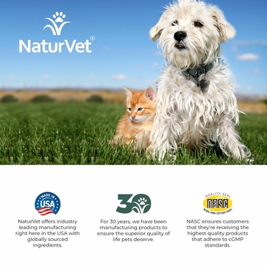 MUSHROOM-MAX-IMMUNE-SUPPORT-120-SOFT-CHEWS