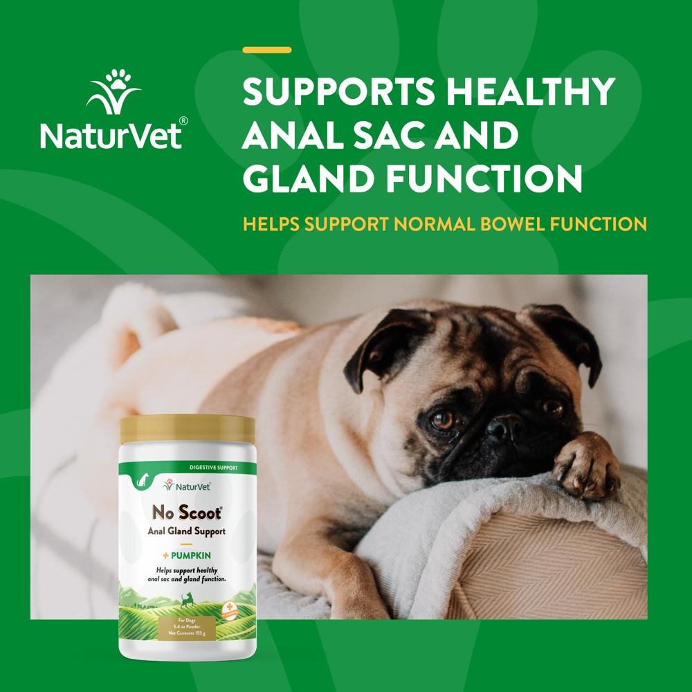 NATURVET-NO-SCOOT-POWDER-5-4OZ