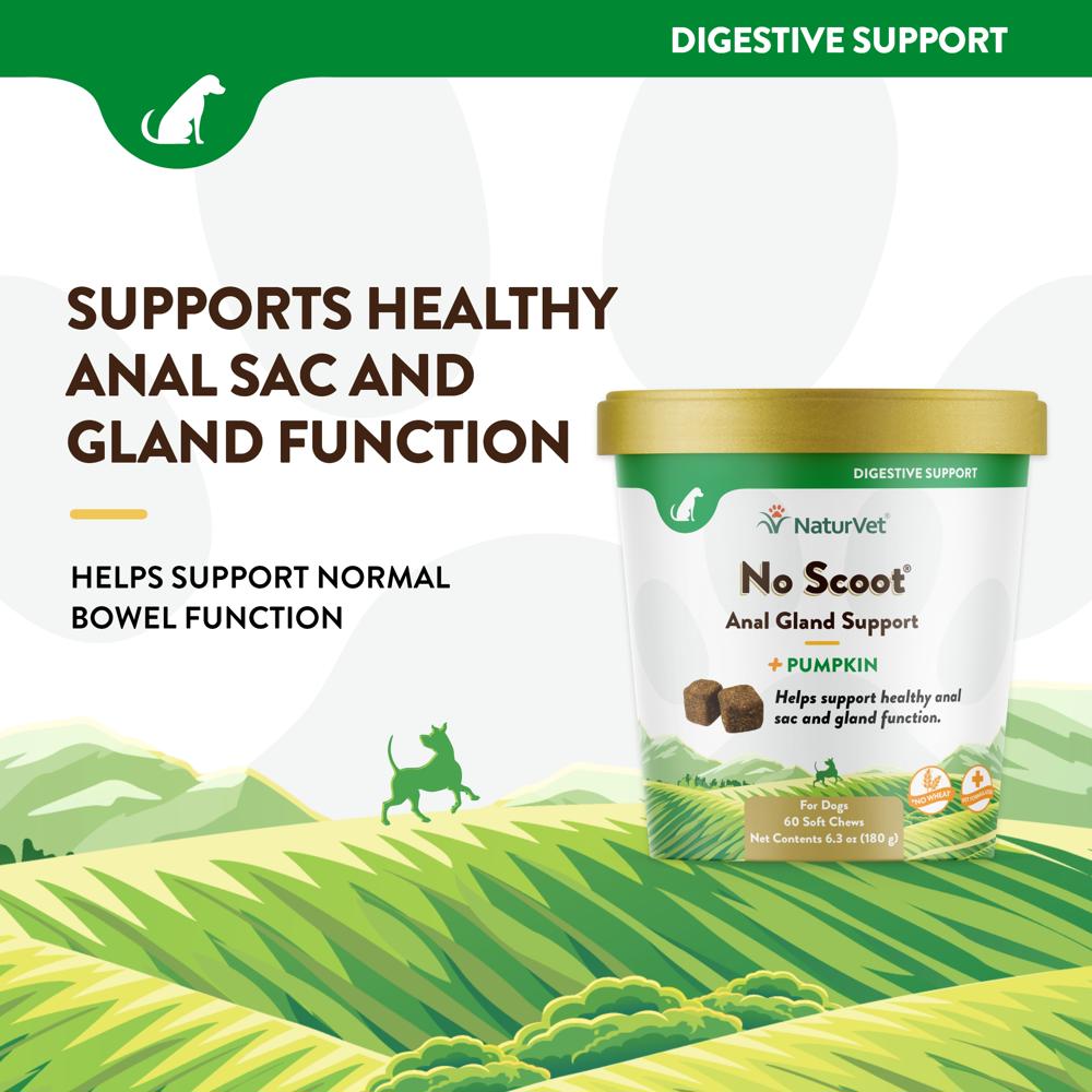 NATURVET-NO-SCOOT-60-SOFT-CHEWS