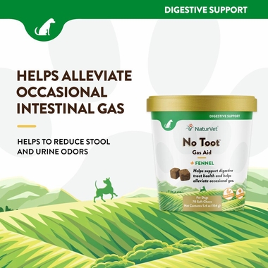 NATURVET-NO-TOOT-70-SOFT-CHEWS