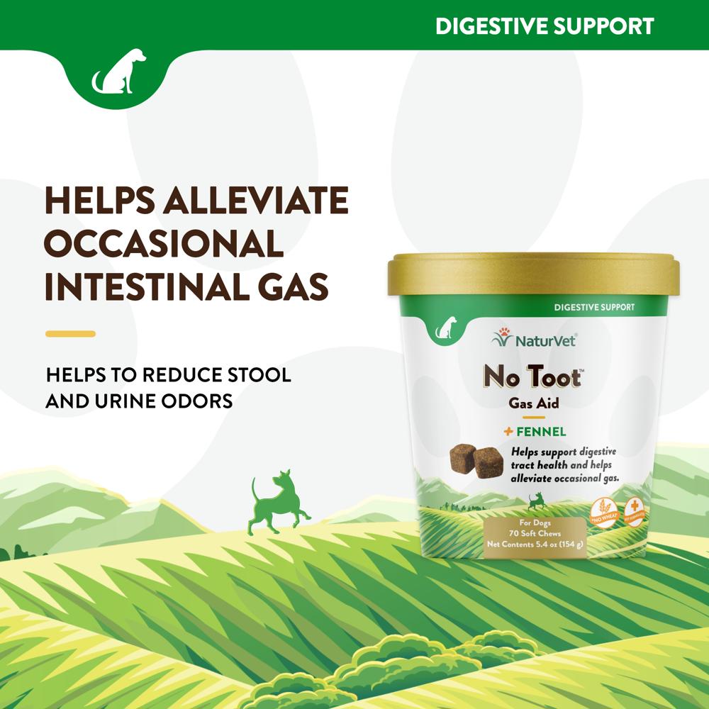 NATURVET-NO-TOOT-70-SOFT-CHEWS