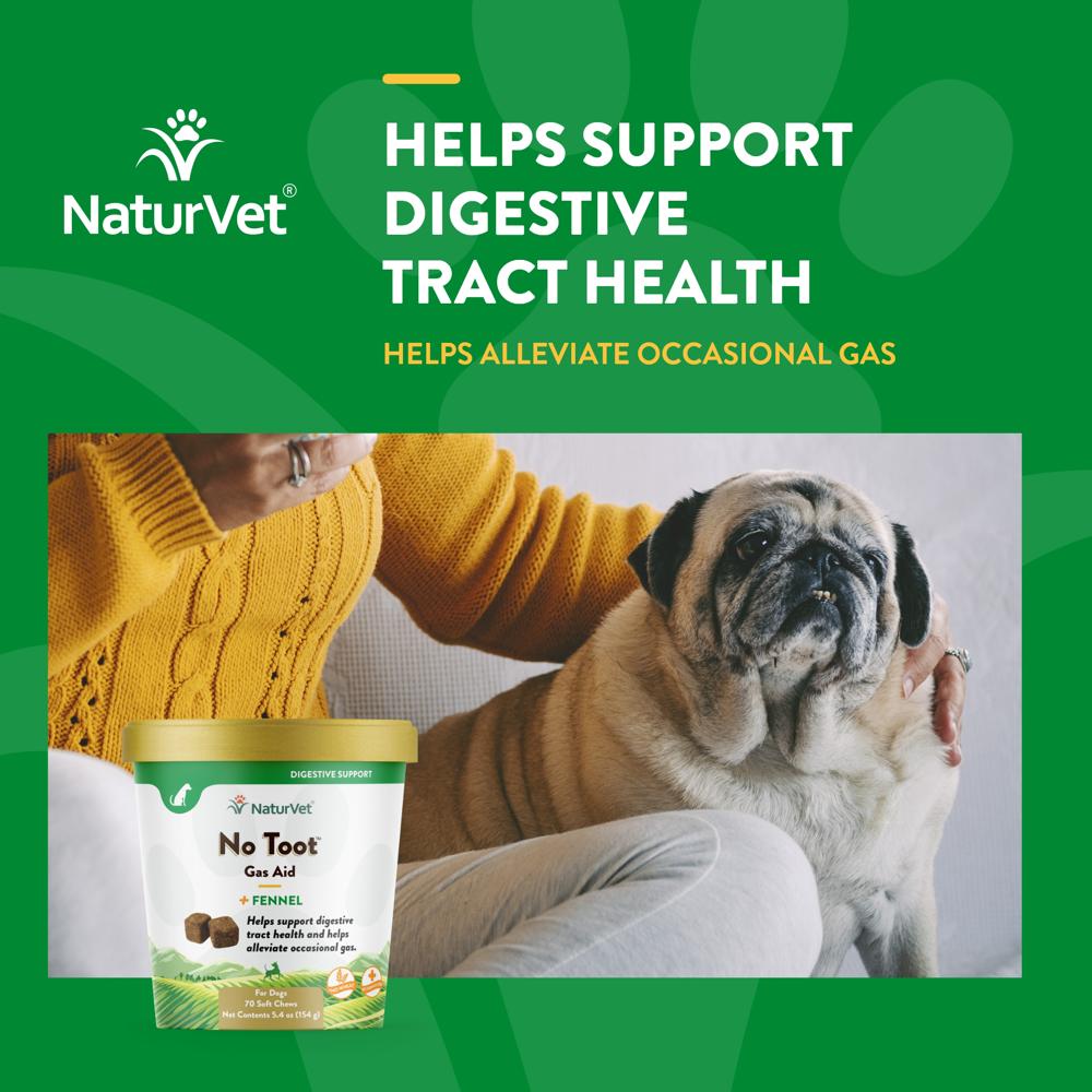 NATURVET-NO-TOOT-70-SOFT-CHEWS