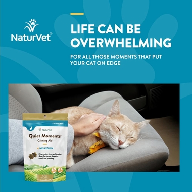 NATURVET-QUIET-MOMENTS-MELATONIN-50-SOFT-CHEWS