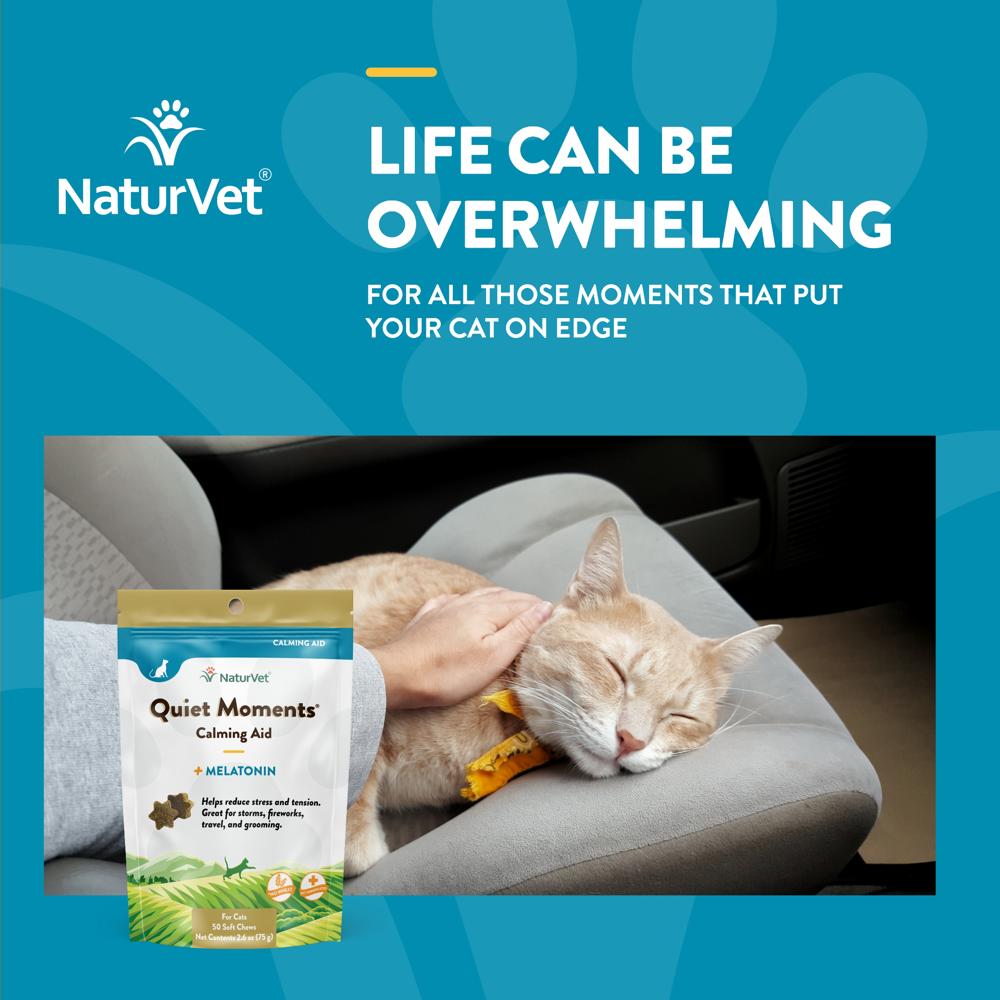 NATURVET-QUIET-MOMENTS-MELATONIN-50-SOFT-CHEWS