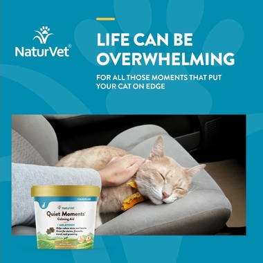 NATURVET-QUIET-MOMENTS-MELATONIN-60-SOFT-CHEWS