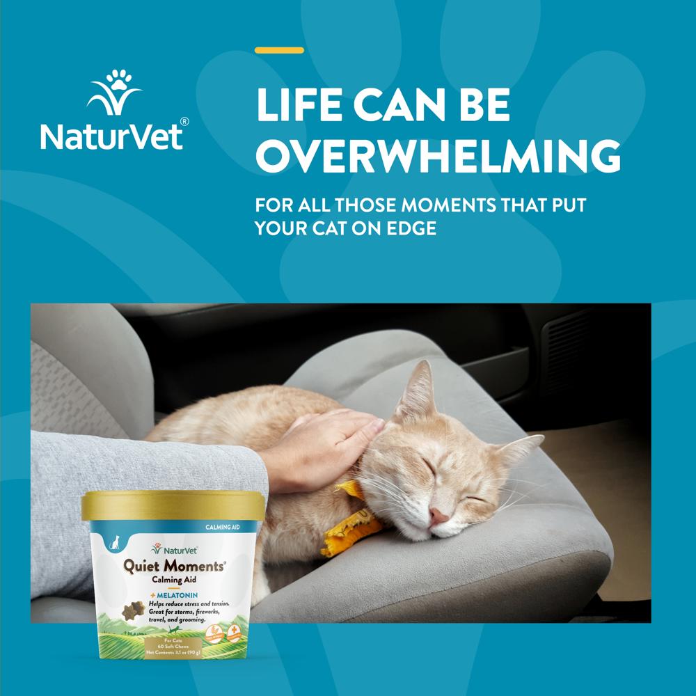NATURVET-QUIET-MOMENTS-MELATONIN-60-SOFT-CHEWS