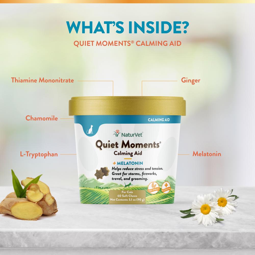 NATURVET-QUIET-MOMENTS-MELATONIN-60-SOFT-CHEWS