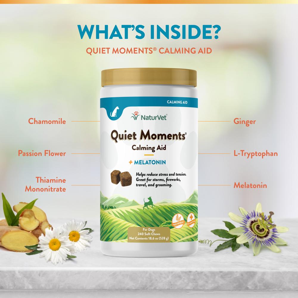 NATURVET-QUIET-MOMENTS-MELATONIN-240-SOFT-CHEWS