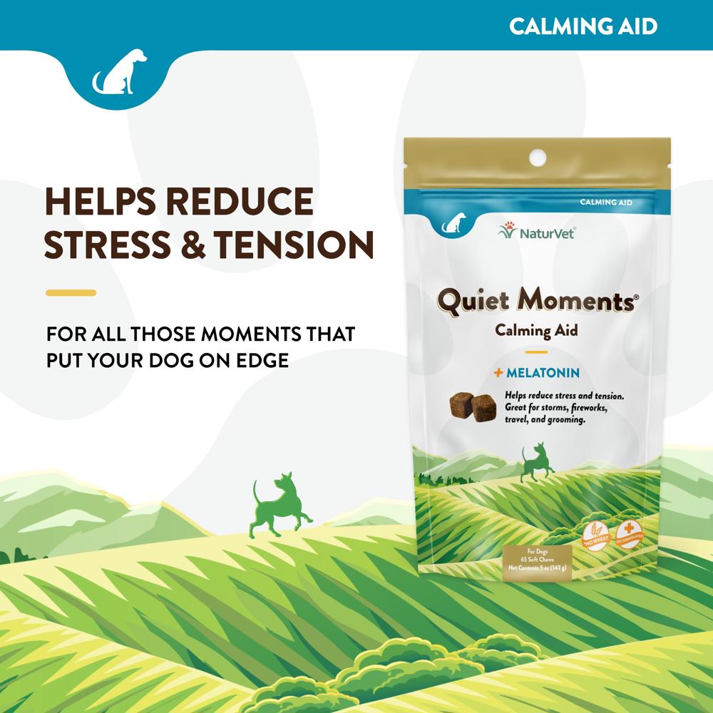 NATURVET-QUIET-MOMENTS-MELATONIN-65-SOFT-CHEWS
