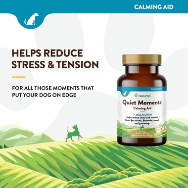 NATURVET-QUIET-MOMENTS-MELATONIN-30-SOFT-CHEWS