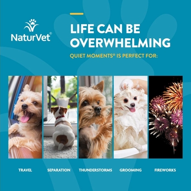 NATURVET-QUIET-MOMENTS-MELATONIN-30-SOFT-CHEWS