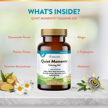 NATURVET-QUIET-MOMENTS-MELATONIN-30-SOFT-CHEWS