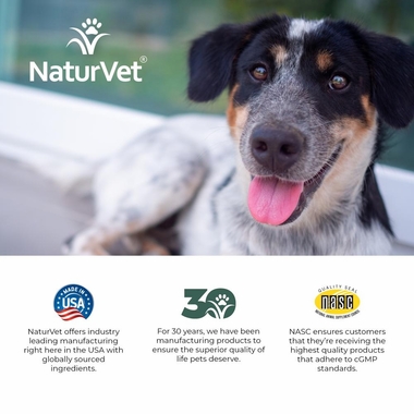 NATURVET-SENIOR-WELLNESS-ACHES-60-SOFT-CHEWS