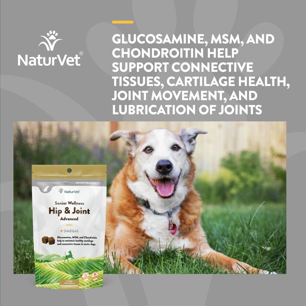 NATURVET-SENIOR-WELLNESS-HIP-JOINT-120-SOFT-CHEWS