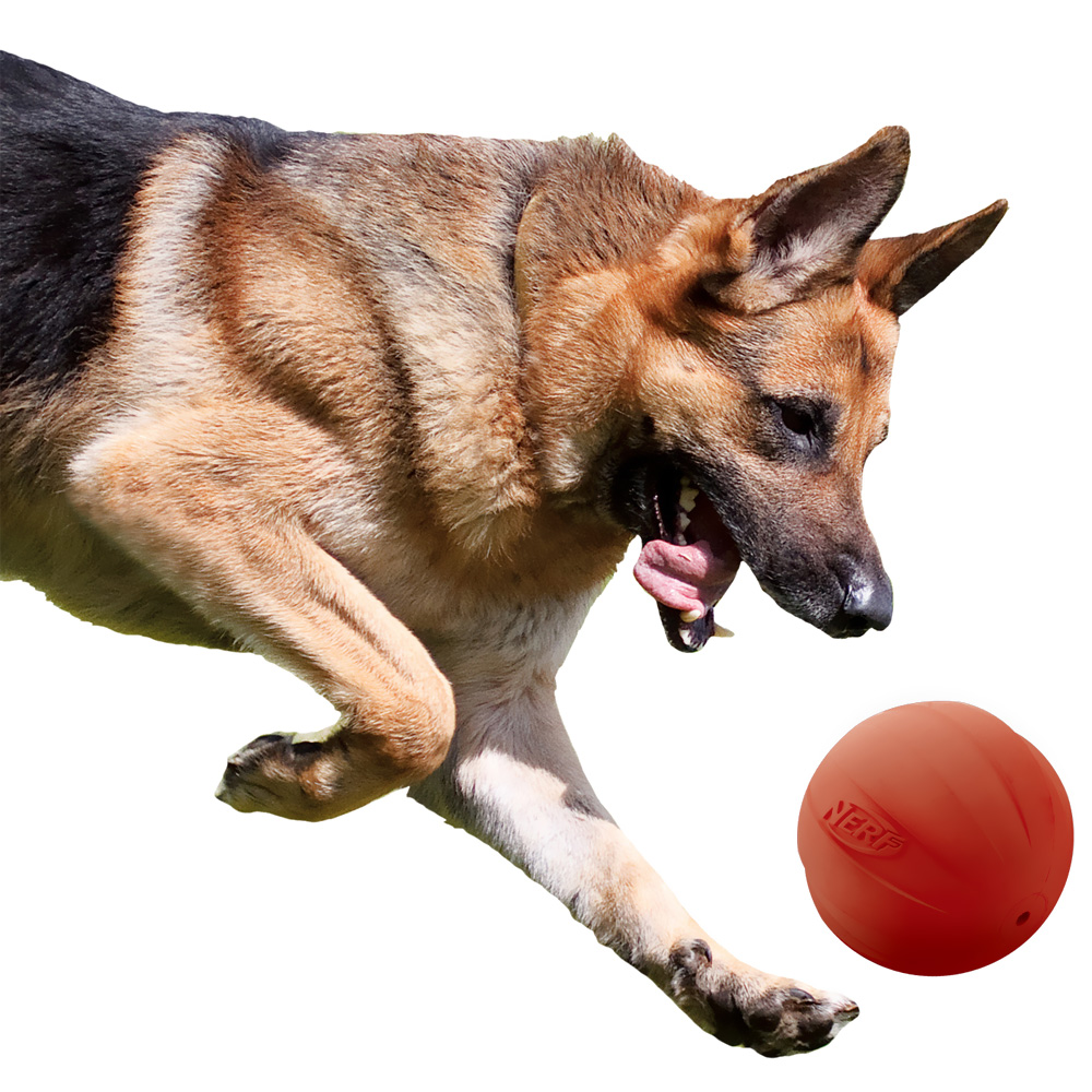 NERF-DOG-SQUEAK-BALL-RED