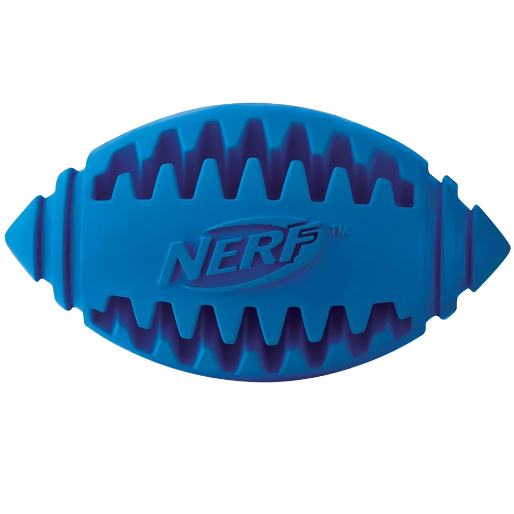 NERF-DOG-TEETHER-FOOTBALL-3-25