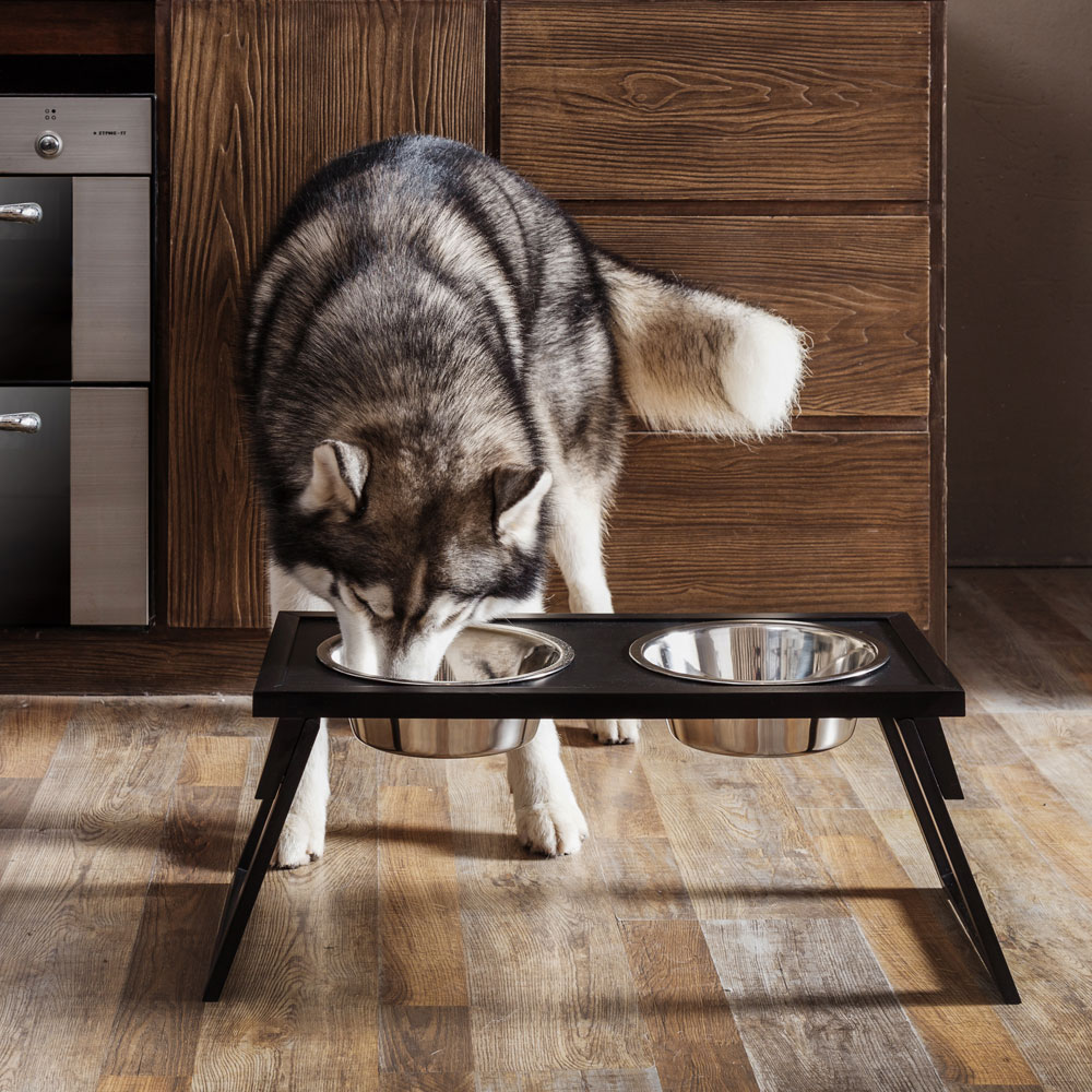 NEW-AGE-PET-HILORAISD-DOUBLE-DINER-ESPRSO-24X10X9