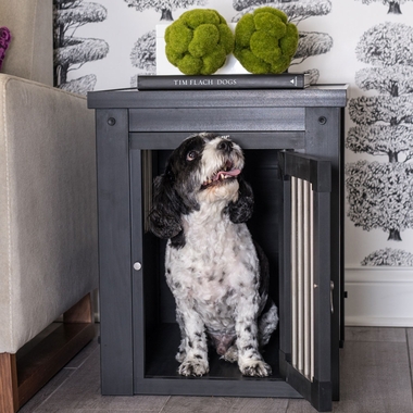 NEW-AGE-PET-INNPLCE-DGCRTE-ESPRSO-MD-29X21X25