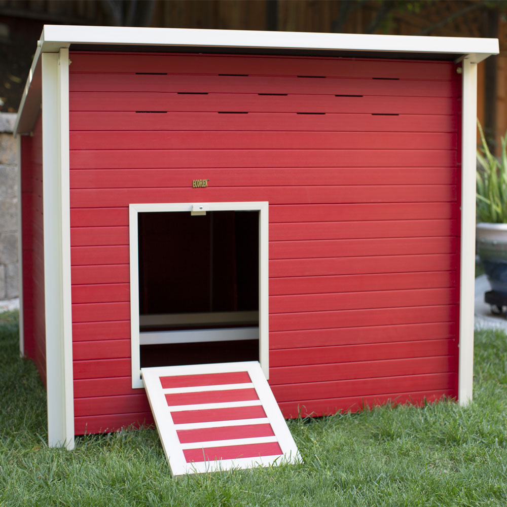 NEW-AGE-PET-JMB-FONTANA-CHCKNBRN-IN-RED-RED-MPLE-54X46X40
