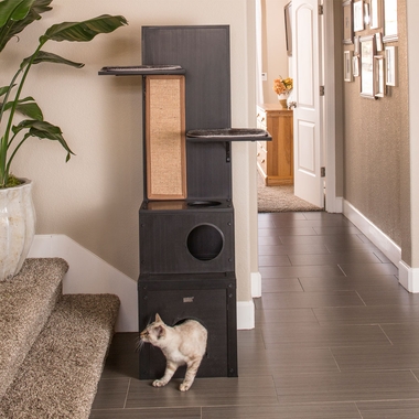 NEW-AGE-PET-KITTY-KLIMBER-ESPRESO-16X16X60