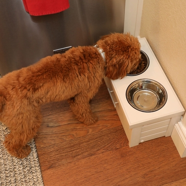 NEW-AGE-PET-SM-PIEDMONT-ANTQUEWHT-16X8X7