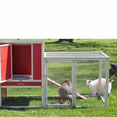 NEW-AGE-PET-SONOMA-CHICKEN-CPOOPN-RDMPLE-29X81X41