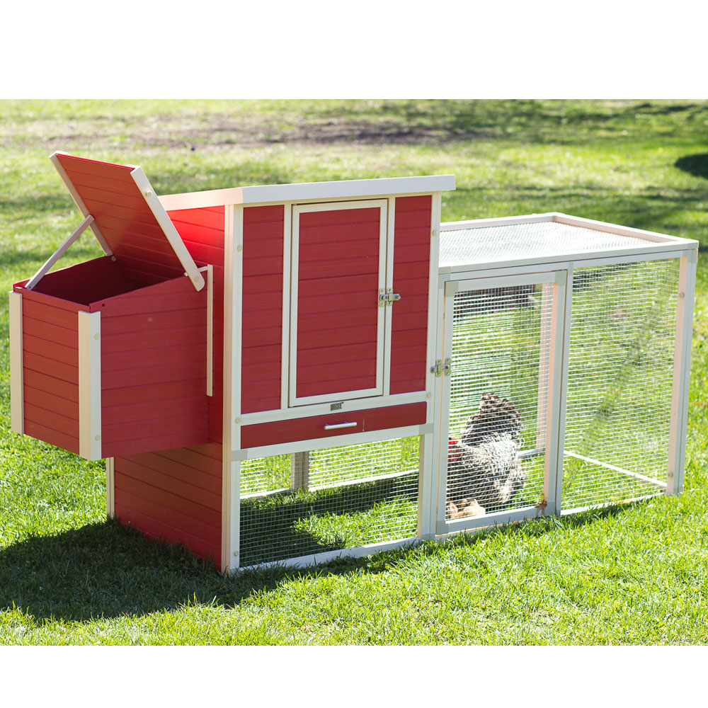 NEW-AGE-PET-SONOMA-CHICKEN-CPOOPN-RDMPLE-29X81X41