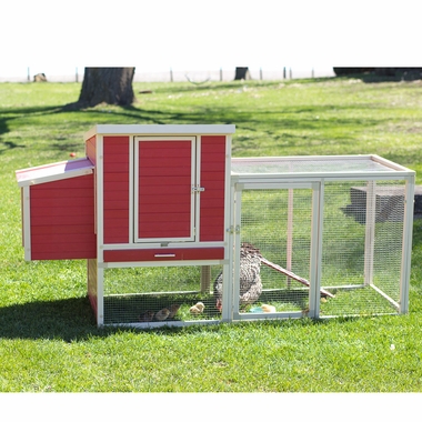 NEW-AGE-PET-SONOMA-CHICKEN-CPOOPN-RDMPLE-29X81X41