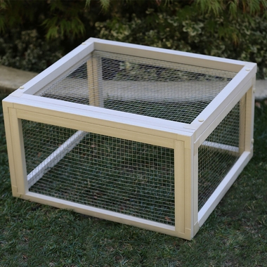 NEW-AGE-PET-SONORAN-TORTOISE-PEN-MPLE-21X24X13