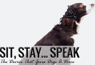 New Invention Gives Your Dog A Voice