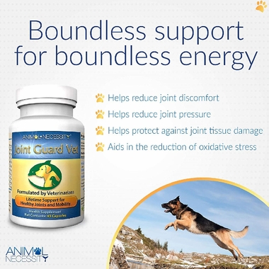 ANIMAL-NECESSITY-JOINT-GUARD-90-CAPSULES