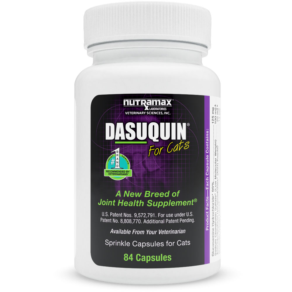 Nutramax Dasuquin Joint Supplement Tablets for Cats On Sale