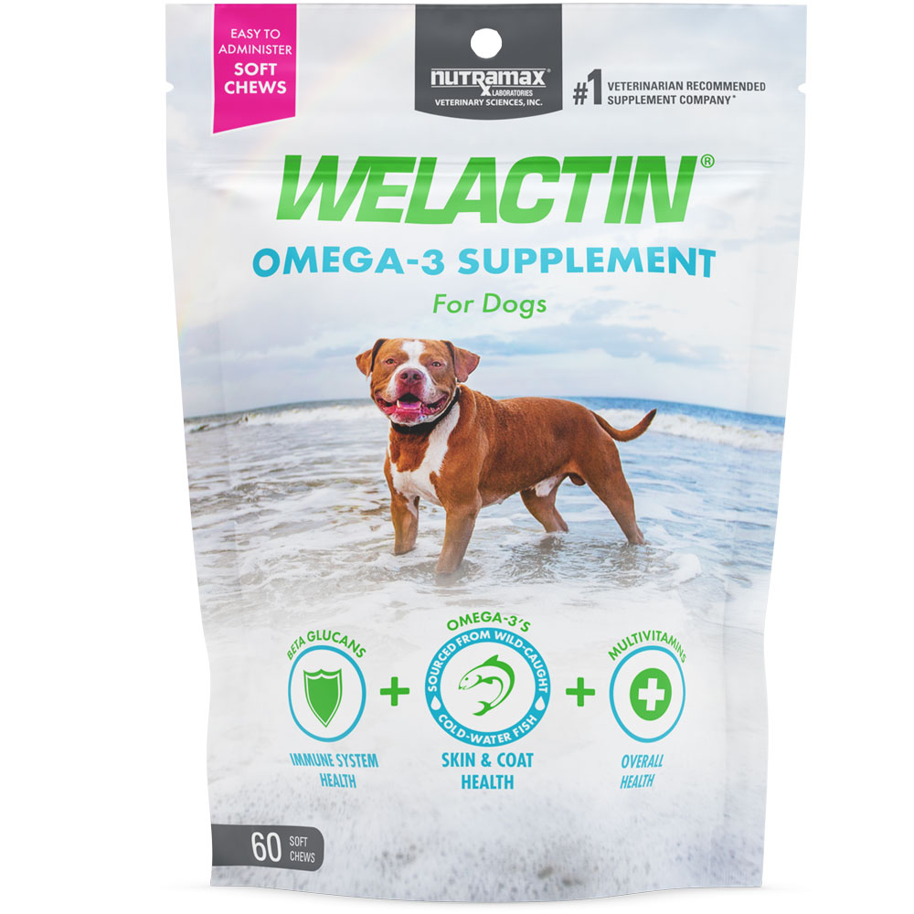 Nutramax Welactin Daily Omega3 Supplement For Dogs, Skin & Coat Health Plus Overall Health, 60