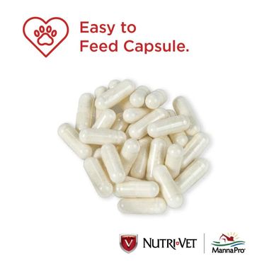 NUTRI-VET-PROBIOTICS-DOGS-60-CHEWABLES