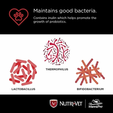 NUTRI-VET-PROBIOTICS-DOGS-60-CHEWABLES