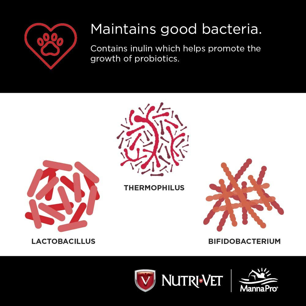 NUTRI-VET-PROBIOTICS-DOGS-60-CHEWABLES