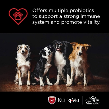 NUTRI-VET-PROBIOTICS-DOGS-60-CHEWABLES