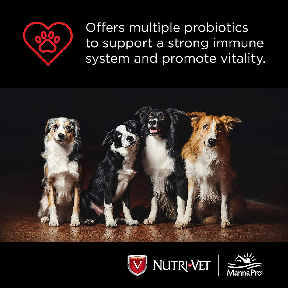 NUTRI-VET-PROBIOTICS-DOGS-60-CHEWABLES