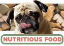 Nutritious Food for Your Pet