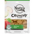Nutro Small Crunchy Natural Dog Treats with Real Apple (16 oz)
