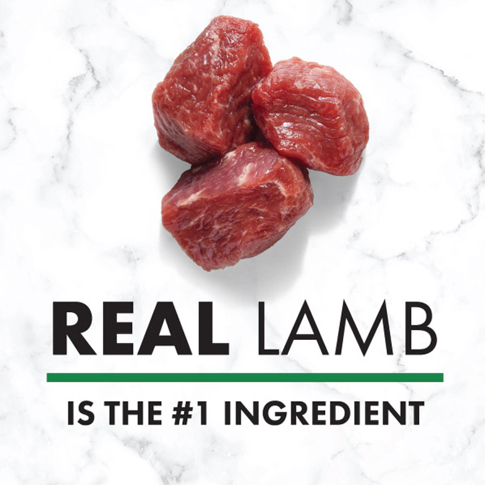 NUTRO-WHOLESOME-ESSENTIALS-LAMB-DOG-FOOD-30LB