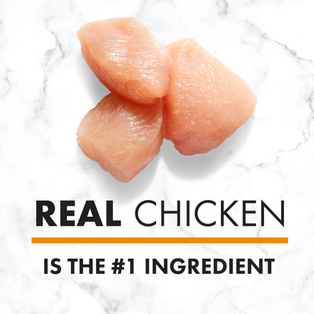 NUTRO-NATURAL-CHOICE-CHICKEN-RICE-OATMEAL-PUPPY-15-LB